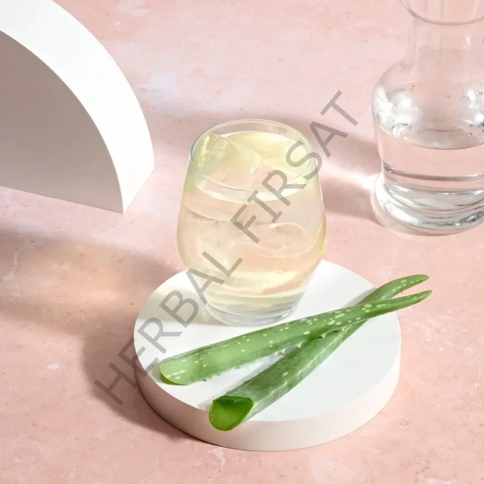 Herbalife Aloe Vera Suyu Narenciye Aromalı 473 ml