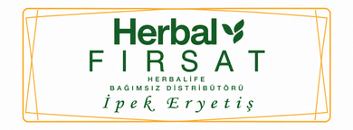 Takım Ruhu